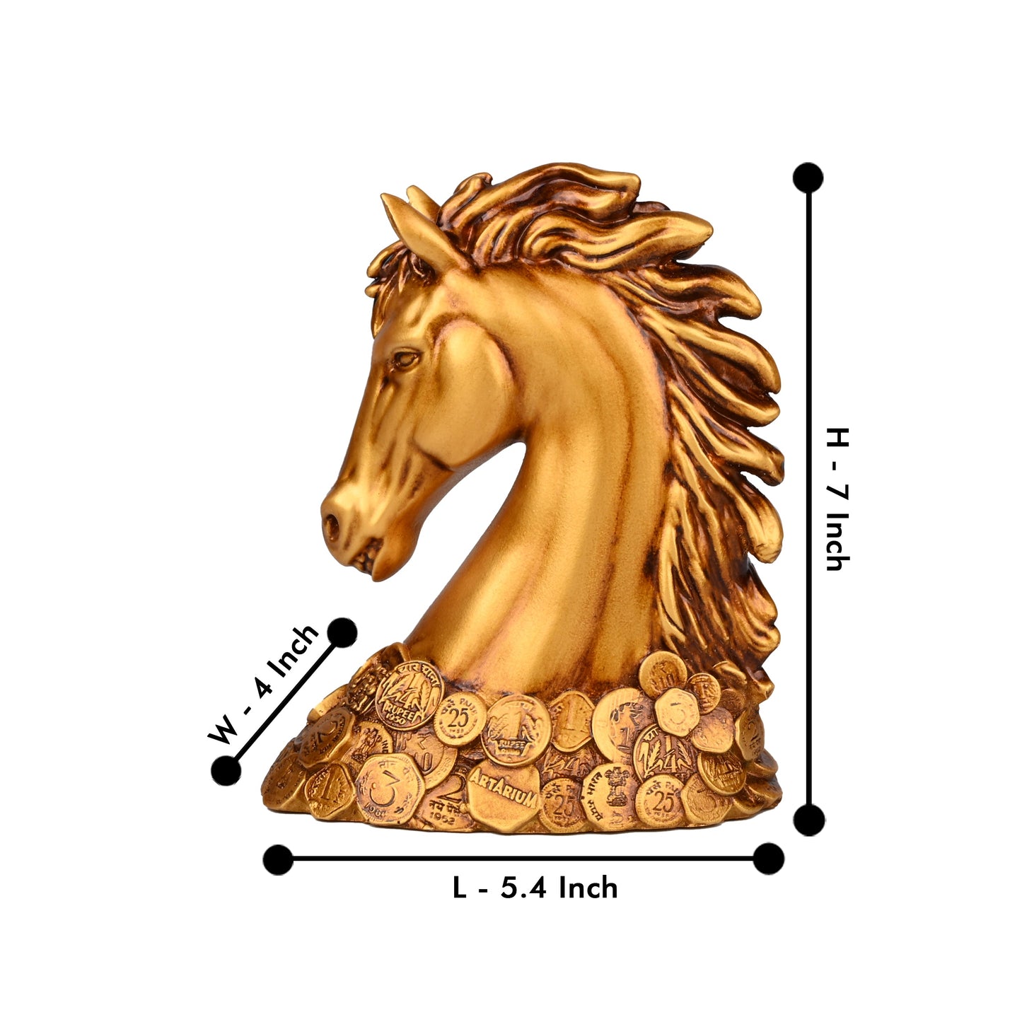 New Coin Horse Head