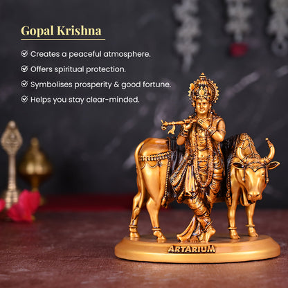 Gopal Krishna Car Dashboard