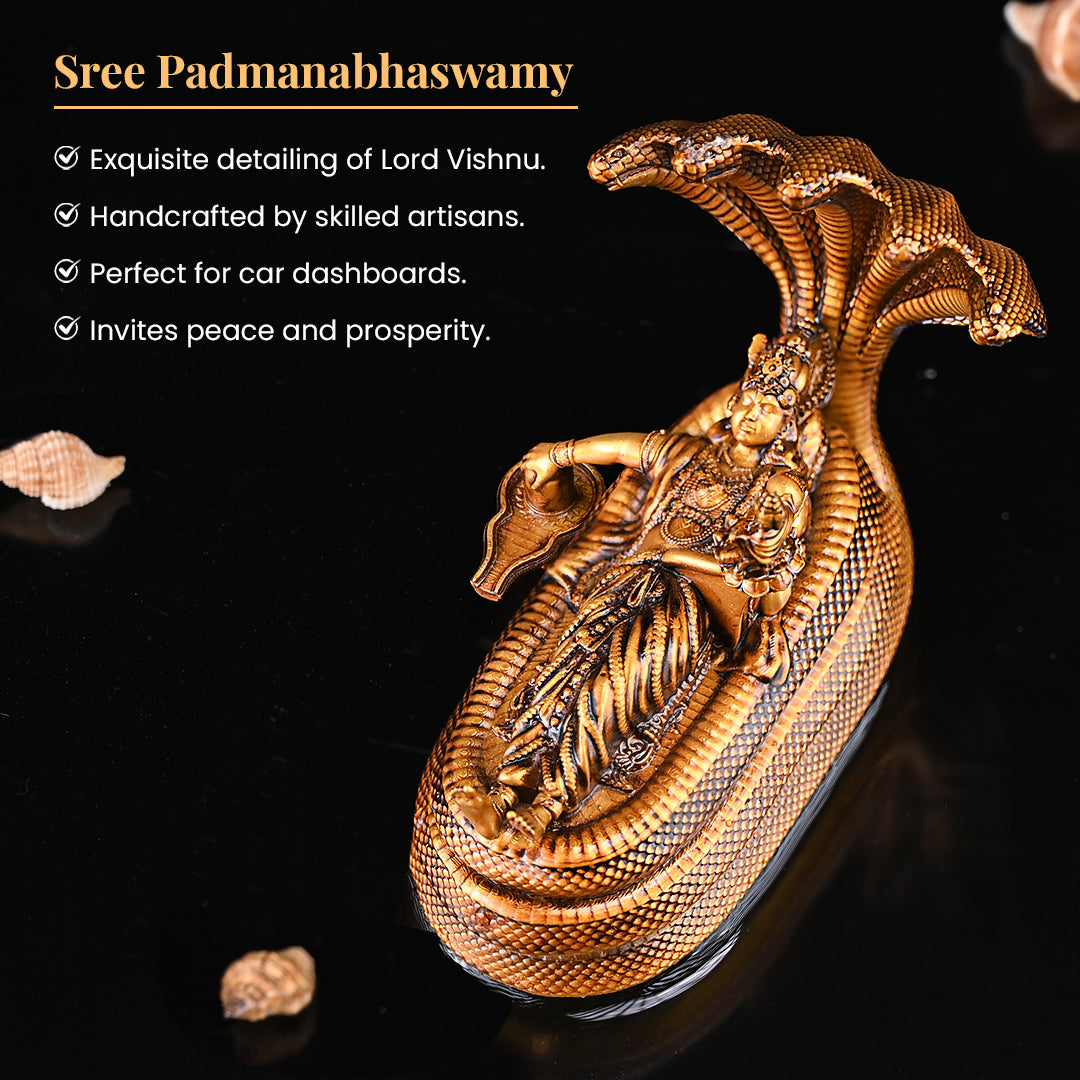 Shree Padmanabhaswamy Car Dashboard