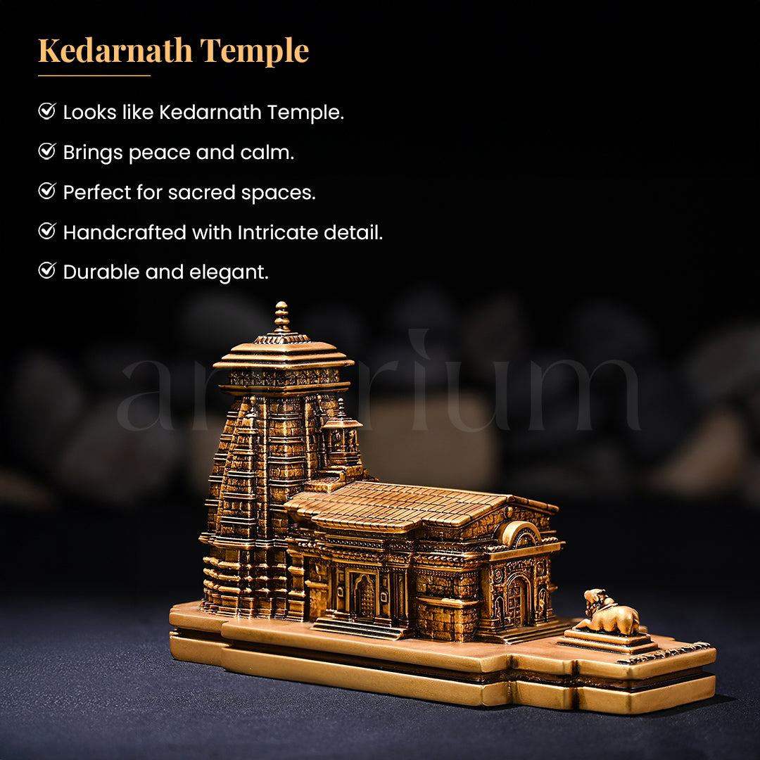 Kedarnath Temple Idol