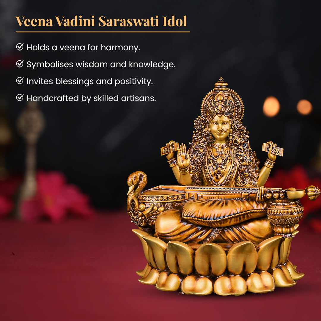 Veena Vadini Saraswati (Lotus) Car dashboard